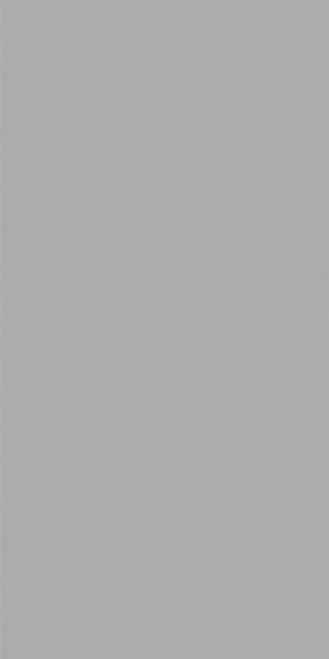 Керамогранит MONOCOLORS Elite Grey Matt 60x120x5 от StaroSlim (Индия)