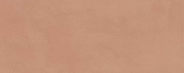 Настенная плитка Каннареджо оранжевый матовый (7254) 20x50x8 от Kerama Marazzi (Россия)