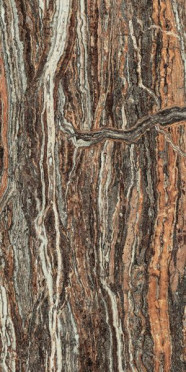 Керамогранит Epos Jurassic RETT LAPP (610015000597) 60x120 от Atlas Concorde (Россия)