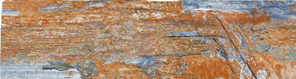 Настенная плитка MONOPOLE DECAPE PAINT 7.5x28 от Monopole (Испания)