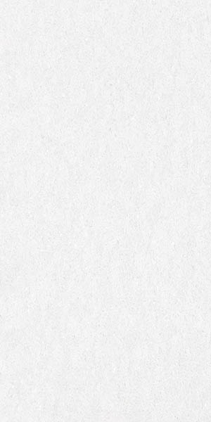 Керамогранит Absolute Ice (D12038M) 120x60x9.5 от Delacora (Россия)