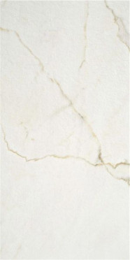 Керамогранит Lancelot Gold Matt Rect 59.5x120 от STN Ceramica (Stylnul) (Испания)