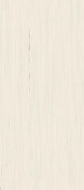 Керамогранит Marvel Stone Bianco Dolomite Lappato (A0BP) 120x278 от Atlas Concorde (Италия)