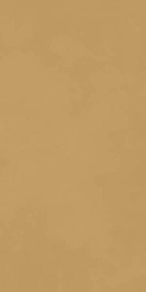 Керамогранит Decora Senape Rett (RA5D) 60x120 от Ragno (Италия)