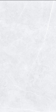 Керамогранит SWINDON GREY POLISHED 60x120 от Usak Seramik (Турция)