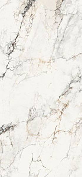 Керамогранит Aesthetica AE PAO6 278 LP (AEPAO6278LP) 120x278 от La Faenza (Италия)