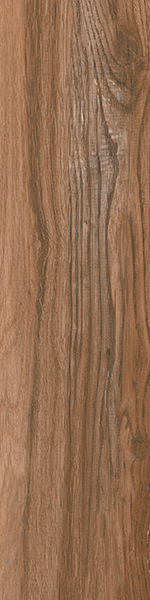 Керамогранит Rodeno Liso Nogal 20x120 от Gres de Aragon (Испания)