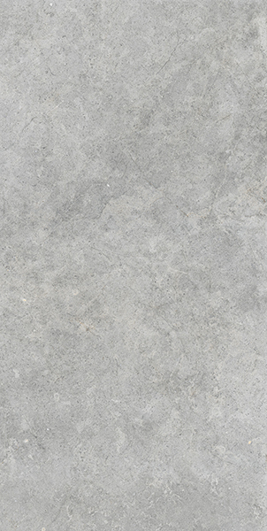 Керамогранит Richmond Silver Rett (RAFW) 60x120 от Ragno (Италия)