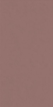 Настенная плитка WIDE&STYLE MINI PAPRIKA RET (PF60008237) 60x120 от ABK Ceramiche (Италия)