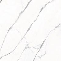 Керамогранит MARMOKER STATUARIO FINE LUCIDO (14950730) 60x60 от Casalgrande Padana (Италия)