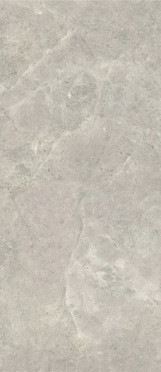 Керамогранит Platinum Leica Matt (6 мм) (MN226AY321606) 160x320 от Moreroom (Китай)