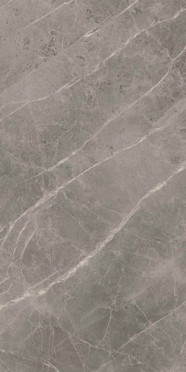 Керамогранит Marvel Grey Fleury ADKZ 45x90 от Atlas Concorde (Италия)