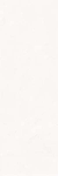 Настенная плитка K1440UL000010 Jardin White Matt. Rec. 40x120 от Villeroy & Boch (Германия)