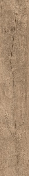 Керамогранит AT.DAKOTA ROBLE (матовый) Rect. 20x120 от Pamesa (Испания)