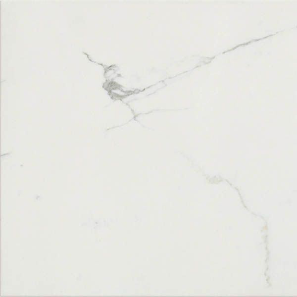 Керамогранит TIMELESS CALACATTA NAT RET (746853) 60x60 от Cerim (Италия)