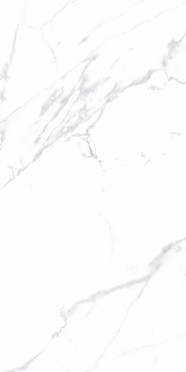 Керамогранит Statuario Justice Grey белый Матовый 60x120 от Ceradim (Индия)