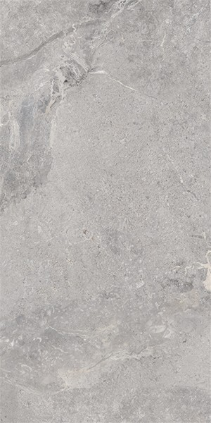 Керамогранит BEYOND MAT GREY RECT.POR.TILE (P82015.6) 60x120 от Yurtbay (Турция)