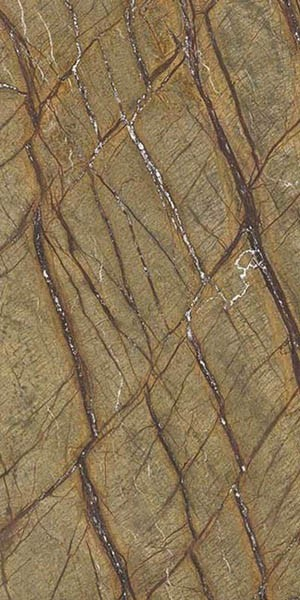 Керамогранит MARMOKER BROWN FOREST HONED (12460301) 60x120 от Casalgrande Padana (Италия)