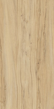 Керамогранит K-2101/SR 60x120x10 от Kerranova (Россия)