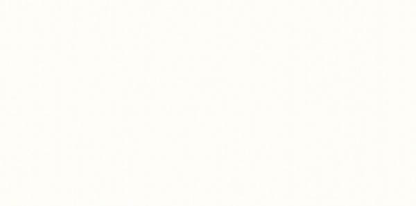 Плитка настенная Esten Bianco 295x595 мм/35,2 29.5x59.5 от Paradyz (Польша)