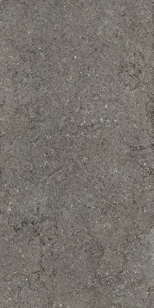 Керамогранит DISCOVER FUME RET (610010002730) 60x120 от Italon (Россия)