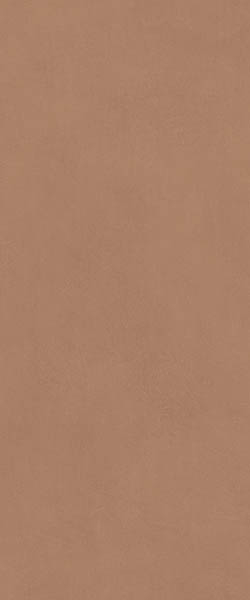 Настенная плитка Boost Expression Sienna (AYR9) 50x120 от Atlas Concorde (Италия)