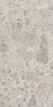 Керамогранит Eterna Mix Gris rett. (R8JQ) 60x120 от Ragno (Италия)