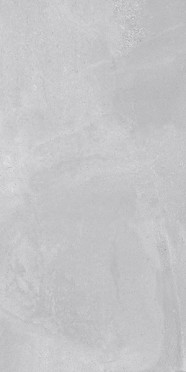 Керамогранит Concrete Mystic Silver Светло-серый Матовый 60x120 от Ceradim (Индия)