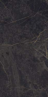 Керамогранит EPOQUE BLACK LAP (PF60004299) 60x120 от Ariana (Италия)
