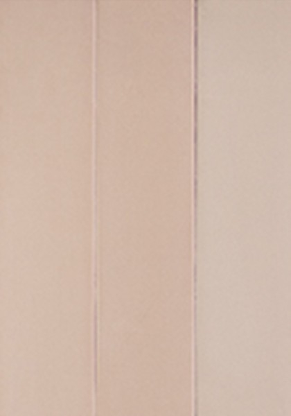 Настенная плитка CANDY PINK (128390) 5x20 от DNA Tiles (Испания)