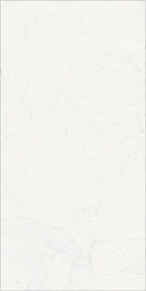 Керамогранит CHA.DEL.B.MICHEL LUX (610015000500) 80x160 от Italon (Россия)