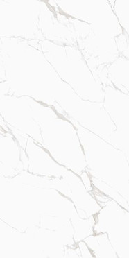 Керамогранит Noble Белый 60x120 от Colortile (Индия)