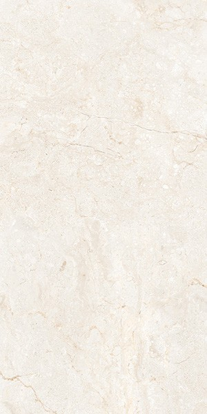 Керамогранит LEOPARD 6406 Stone Ivory Polished 60x120 от Leopard (Индия)