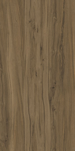 Керамогранит K-2104/SR 60x120x10 от Kerranova (Россия)