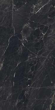 Керамогранит Evolic Nero 60x120 от Colortile (Индия)