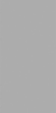 Керамогранит MONOCOLORS Elite Grey Matt 60x120x5 от StaroSlim (Индия)