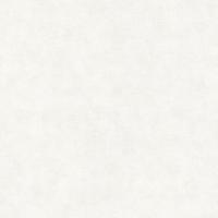 32436 Обои Marburg (Shades Iconic/Flora/Shades/New Spirit) (1*12) 10,05x0,53 винил на флизелине