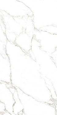 Керамогранит CANOVA STATUARIO LAP RET (J88514) 60x120 от Rondine Group RHS (Италия)