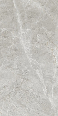 Керамогранит BALTIC GREY glossy (ETSTN1236GL60120) 60x120 от Eternal (Индия)