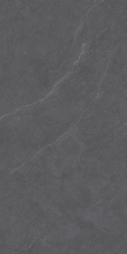 Керамогранит Cateye Dark Grey grains soft-polished mould (BHW-0024) 60x120x10 от Basconi Home (Китай)
