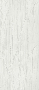 Керамогранит CHA.ADV.PLA.WHITE (600180000018) LUX 120x278 от Italon (Россия)