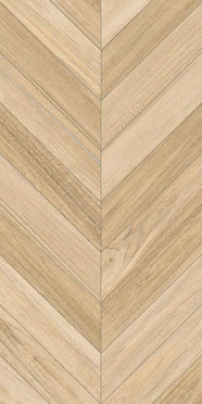Керамогранит Agadir-R Natural 60x120 от Vives Ceramica (Испания)