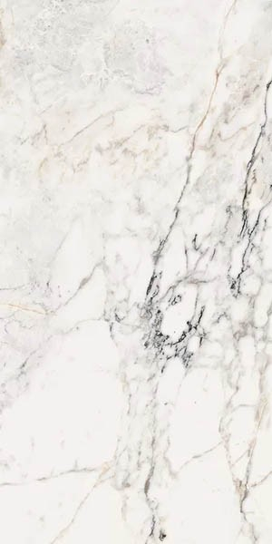 Керамогранит Aesthetica AE PAO6 12 LP 60x120 от La Faenza (Италия)