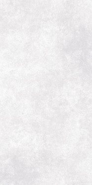 Керамогранит Ideal светло-серый ректификат (16666) 44.8x89.8 от Mei (Германия)