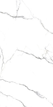 Керамогранит Acothly Polished (PR234) 60x120 от Primavera (Индия)