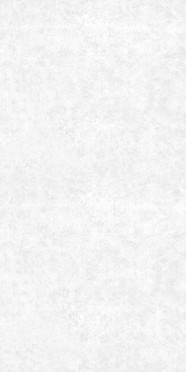 Керамогранит A0YB AA0H 1M Rio White Matt Rectified 59.7x119.8 от Goldis Tile (Иран)