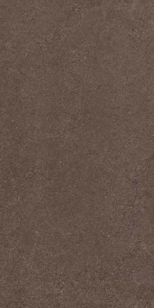 Керамогранит Thar Wood 60x120 от Colortile (Индия)