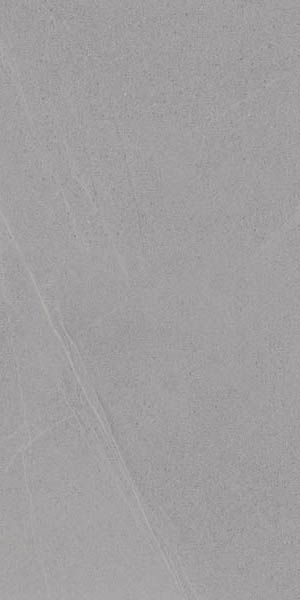 Керамогранит Seine-R Gris 60120 60x120 от Vives Ceramica (Испания)