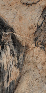 Керамогранит BLENDART CAMEL 80x160 от Gravita (Индия)