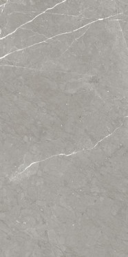 Керамогранит RHAPSODY ALLURE RHAPS.LEV/RETT.(117438) 60x120 от Naxos Ceramica (Италия)